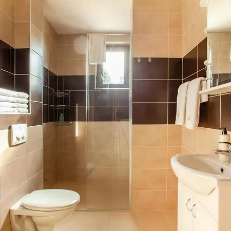 Apartment Vila Cosic *