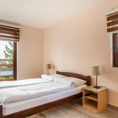 Vila Cosic Kopaonik