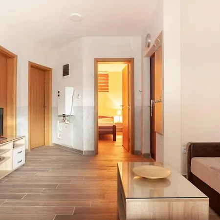 Apartment Vila Cosic