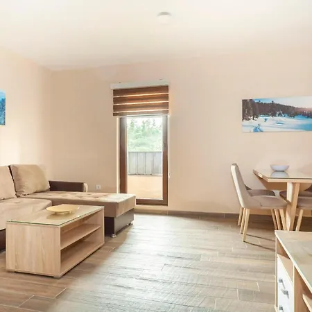 Apartment Vila Cosic Kopaonik