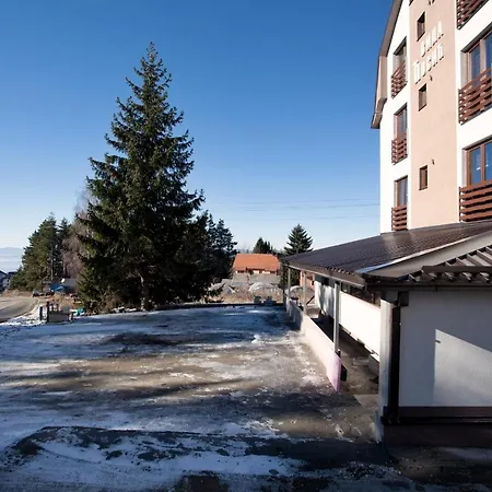 Apartment Vila Cosic